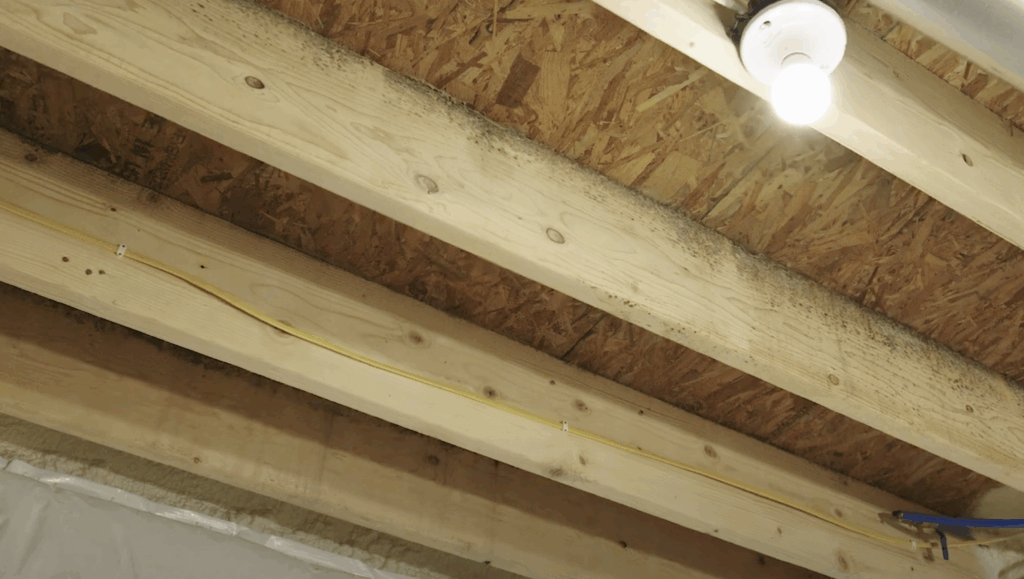 Mold & Airduct Pros